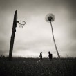 Photo Contest ‘Basketball Country’