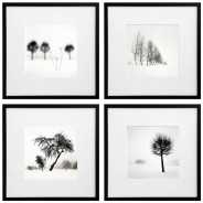 2015 Holiday Print Sale 2015 Holiday Print Sale
