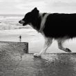 On the beach