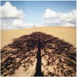 The tree of life