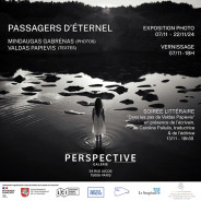 Solo show in Perspective Galerie/Season of Lithuania in France 2024